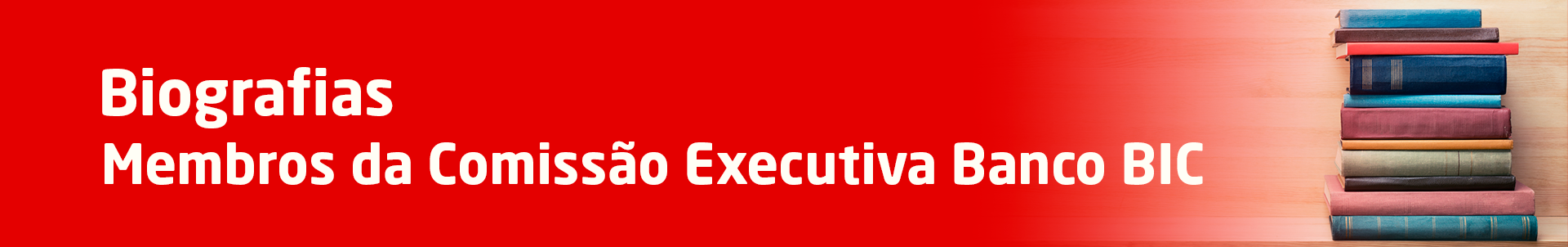 Banner BIC 1920X302_Biografia v2.png
