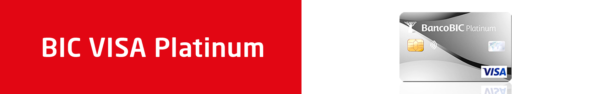 BIC VISA Platinum_1920x302.png