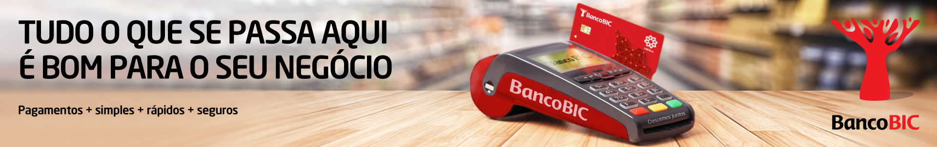 BANCO BIC TPA_1920x302.jpg
